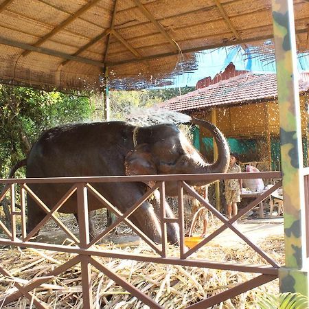 Shangri La Jungle Village Molem Екстериор снимка