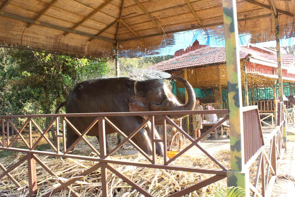 Shangri La Jungle Village Molem Екстериор снимка